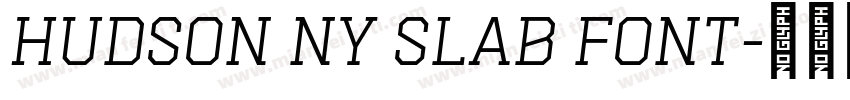 Hudson NY Slab font字体转换